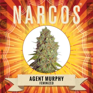 Agent Murphy | Feminized – Narcos