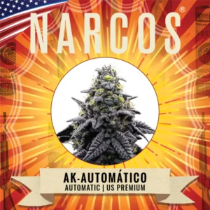 AK-Automático – USA | Automatic – Narcos