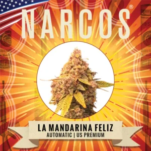 La Mandarina Feliz – USA | Automatic – Narcos