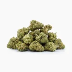 Minibud Cali USA