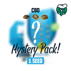 Mystery-Seeds-CBD-1.jpg Mystery Seeds | CBD