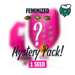 Mystery-Seeds-Feminized-1.jpg Mystery Seeds | Feminized