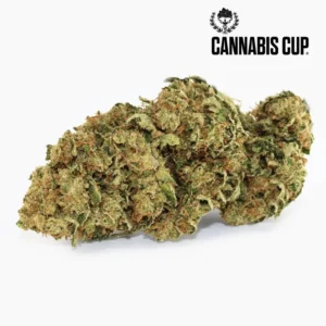 Tangie Kush