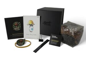 edfd04fa-0edb-4ba6-9c25-1345d528c386.jpg Royale Flush Golden Bluey Vuitton Growkit – 1200cc