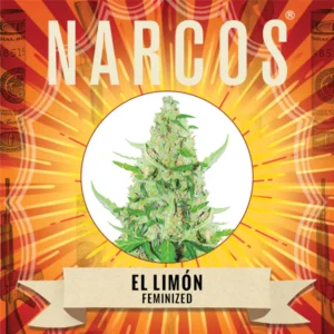 El Limón | Feminized – Narcos