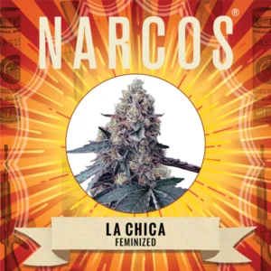 La Chica | Feminized – Narcos