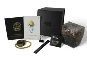 royale-flush-royale-flush-mexicana-growkit-1200cc.webp Royale Flush Mexicana Growkit – 1200cc