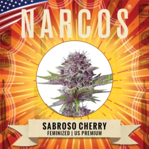 Sabroso Cherry – USA Premium | Feminized – Narcos