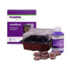 Plagron | Seedbox